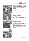 Use And Maintenance Manual - (page 13)