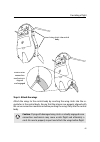 Extended User Manual - (page 45)