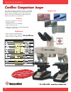 Product Catalog - (page 24)