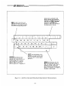 User's Reference Manual - (page 28)
