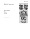 Owner's Service Manual - (page 192)