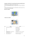 Software User Manual - (page 29)