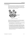 Networking Manual - (page 59)
