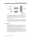 User's Reference Manual - (page 391)