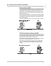 Printer User Manual - (page 17)
