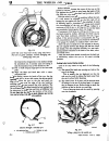 Workshop Manual - (page 252)