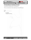 Instruction And Maintenance Manual - (page 112)