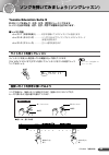 (Japanese) Owner's Manual - (page 29)