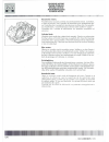 Workshop Manual - (page 172)