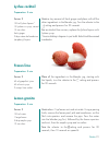 Instructions For Use And Recipes - (page 23)