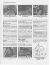 Service And Repair Manual - (page 182)